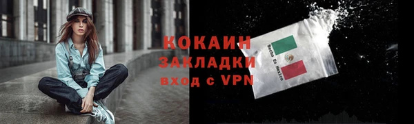 тгк Арсеньев