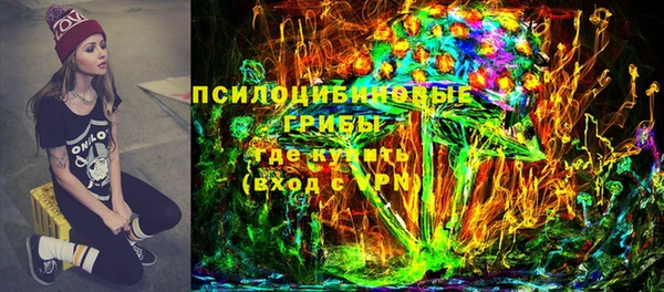гашик Нефтегорск