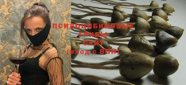 тгк Арсеньев
