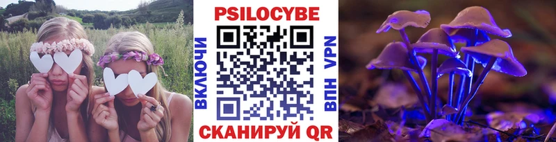 Псилоцибиновые грибы ЛСД  где купить наркоту  Ленинск-Кузнецкий 
