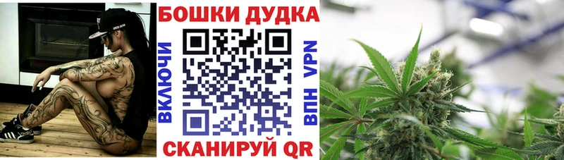 Бошки марихуана план  мориарти наркотические препараты  Ленинск-Кузнецкий  продажа наркотиков 